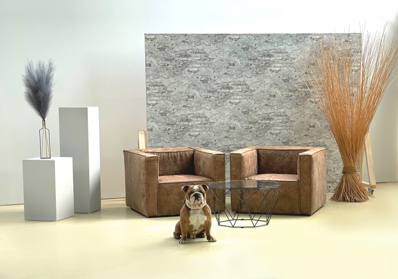 BUTCH - der Studiohund